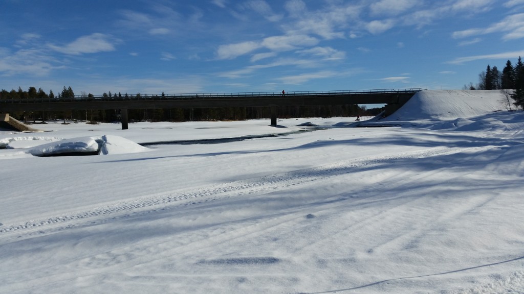 20150313_112813.jpg
