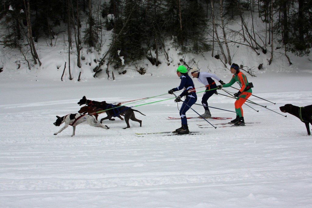 IMG_7058b.jpg