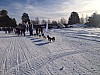 IMG_2090.jpg