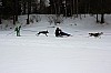 IMG_7187a.jpg