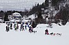 DPP_8416.jpg