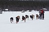 DPP_8418.jpg