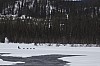 DPP_8419.jpg