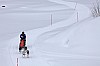 DPP_8421.jpg