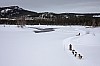 DPP_8422.jpg