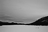DPP_8430bw.jpg