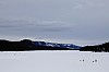 DPP_8431.jpg