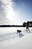 DPP_8440.jpg