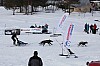 DPP_8451.jpg
