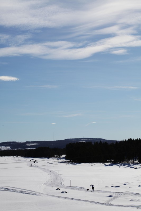 DPP_8464.jpg