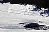 DPP_8463.jpg