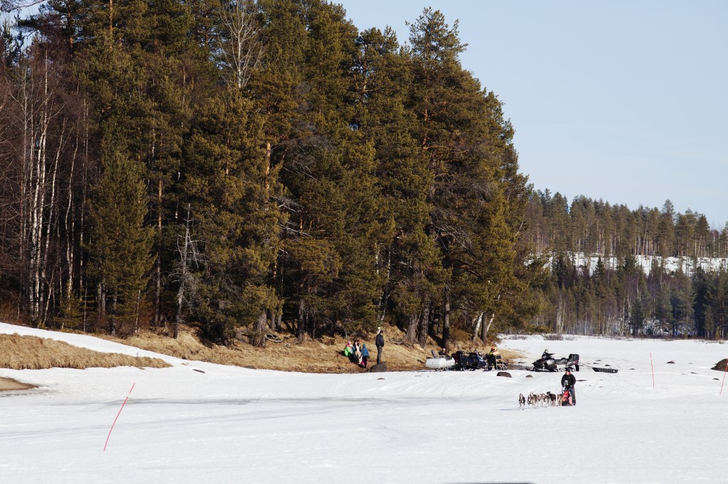 _MG_0799v.jpg