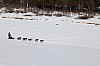 _MG_0684v.jpg
