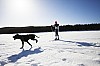_MG_0735v.jpg