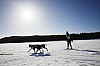 _MG_0744v.jpg