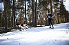 _MG_0773v.jpg