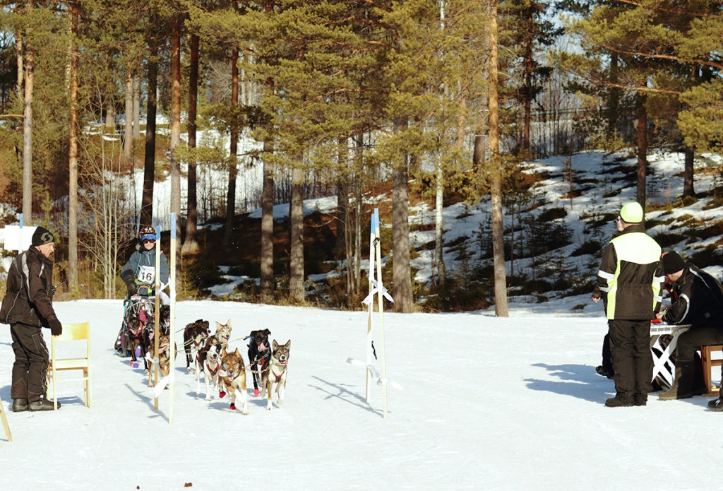 _MG_0920.jpg