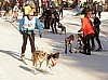 _MG_0957crop.jpg