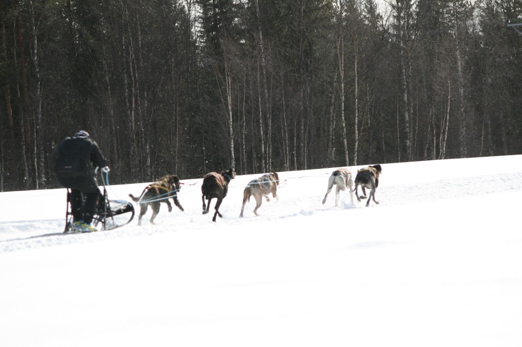 IMG_7712.jpg