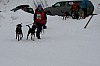 IMG_7563.jpg