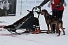 IMG_7564.jpg