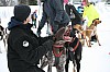 IMG_7569.jpg