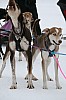 IMG_7571.jpg