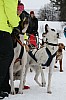 IMG_7573.jpg