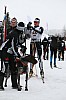 IMG_7577.jpg