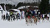IMG_7584.jpg