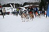 IMG_7586.jpg