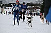 IMG_7594.jpg