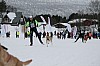 IMG_7597.jpg