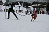 IMG_7599.jpg