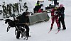 IMG_7608.jpg