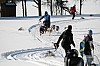 IMG_7627.jpg
