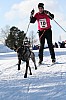 IMG_7649.jpg
