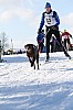 IMG_7656.jpg