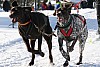 IMG_7671.jpg