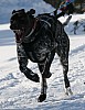 IMG_7673.jpg