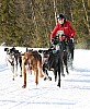 IMG_7695.jpg