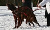 IMG_7701.jpg