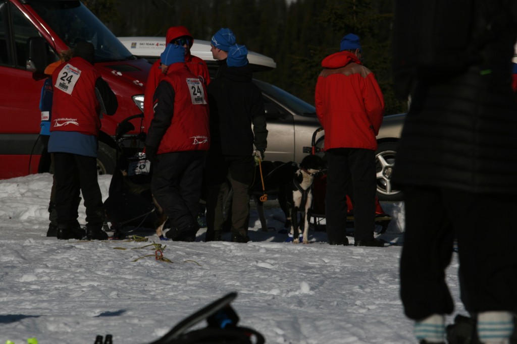 IMG_6120.jpg