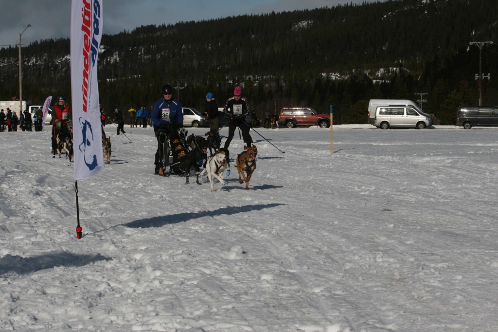IMG_6123.jpg