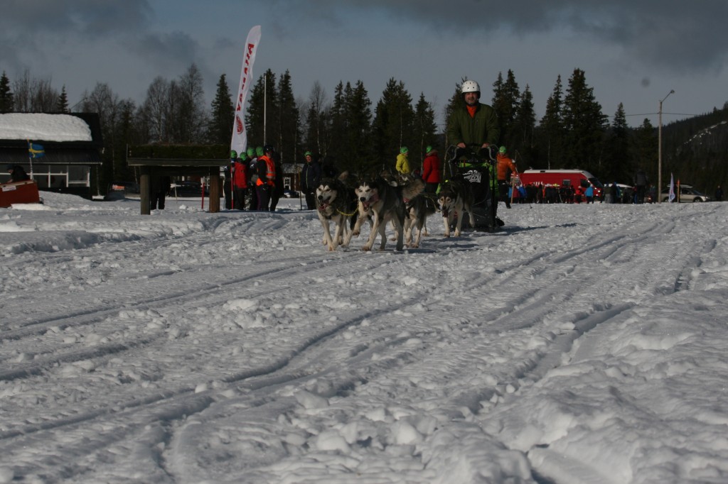 IMG_6137.jpg
