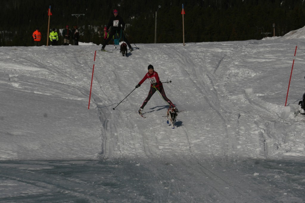 IMG_6140.jpg
