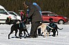 IMG_6119.jpg