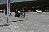 IMG_6123.jpg