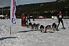 IMG_6126.jpg
