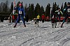 IMG_6131.jpg